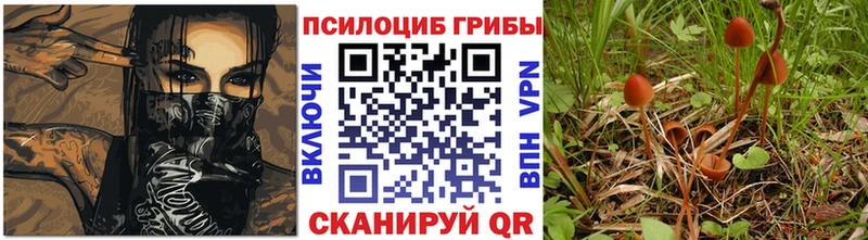 Псилоцибиновые грибы ЛСД  сколько стоит  Владикавказ 