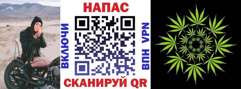 даркнет сайт  Владикавказ  Шишки марихуана семена 